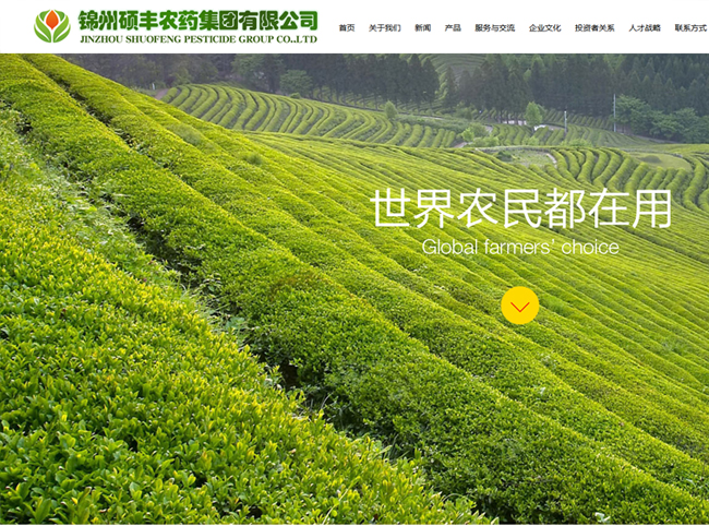 锦州网络营销