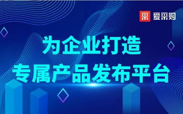 锦州网络公司哪家好